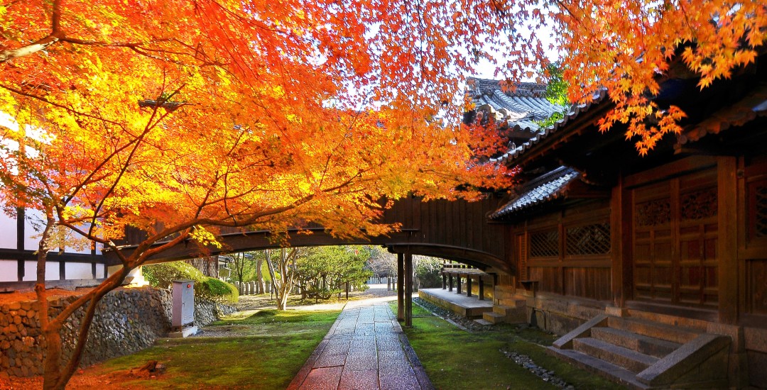 向日神社の画像