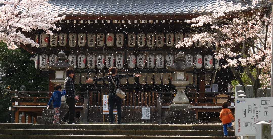 向日神社の画像