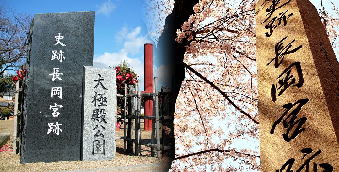 史跡 長岡宮跡の画像